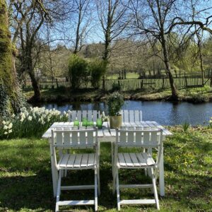 Salon de jardin blanc – Image 3